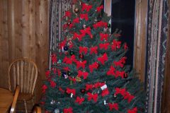 tree2007