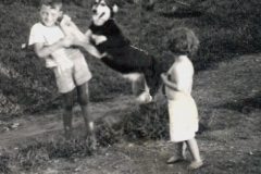 howarddi